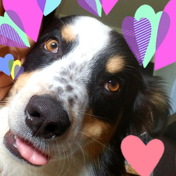 Meet your Posher, Rosalia - Picture 1 of 1